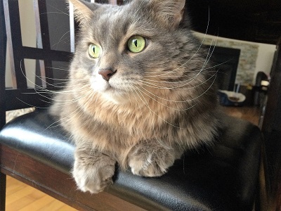 Charlotte green eyes!